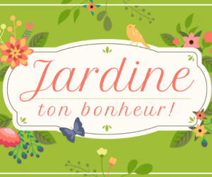 Je poursuis mon cheminement avec Jardine ton Bonheur partie 2 ! 👩‍🌾